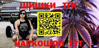 прущие грибы Новодвинск