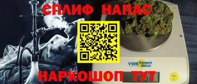 прущие грибы Новодвинск