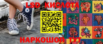 прущие грибы Новодвинск
