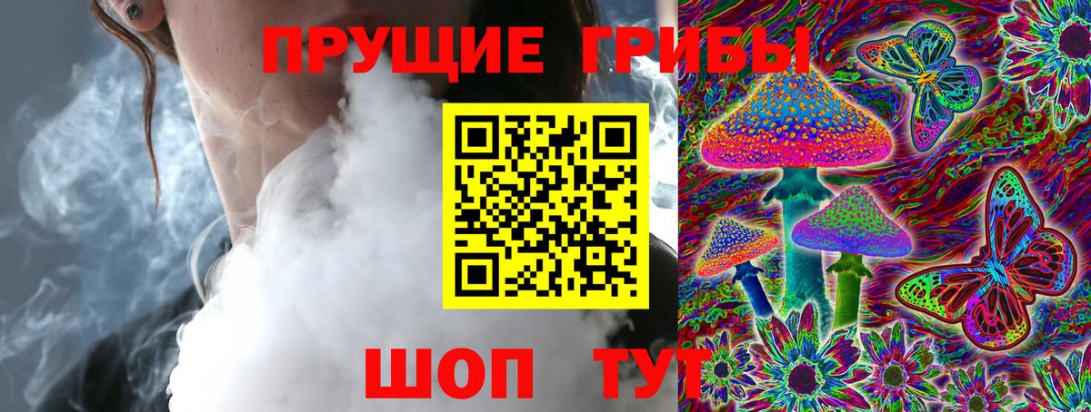 Чебоксары  купить закладку  Вход с VPN  Галлюциногенные грибы прущие грибы 